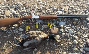 دستگیری شکارچیان غیرمجاز پرنده در دالاهو