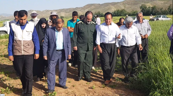 بازدید فرمانده سپاه اسلام آبادغرب از طرح بسیج همگام با کشاورز در شهرستان +تصاویر 