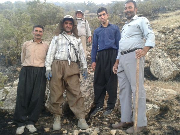 جزئیات مهار آتش سوزی جنگل های برف آباد درکمتر از یک ساعت/ تقدیراز تلاش بسیجیان اسلام آبادغرب در مهار حریق+تصاویر 