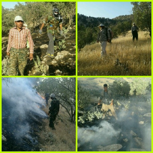 جزئیات مهار آتش سوزی در مراتع و جنگلهای روستای دواردرمیان اسلام آبادغرب/ بیش از ۱۰ هکتار از مراتع منطقه طعمه حریق شد+عکس