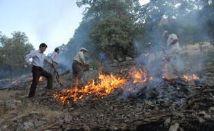 غوغای «آتش» در قلب زاگرس / دریغ از یک «بالگرد» اطفای حریق 