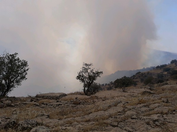 مهار آتش سوزی در مراتع و جنگل های حد فاصل اسلام آبادغرب و استان ایلام/ بیش از 100هکتار از مراتع جنگلی در آتش سوخت+تصاویر