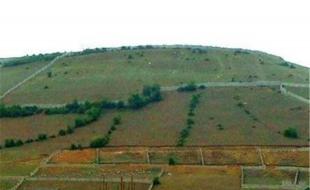 خلع‌ید ۱۱۱ هکتار از اراضی ملی از چنگال زمین‌خواران در کرمانشاه