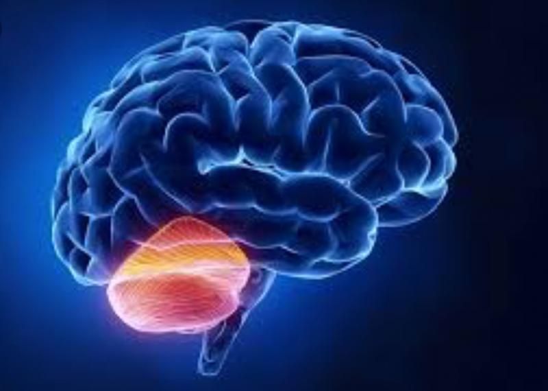 عارضه‌ای بی‌نام و نشان که اعصاب بدن را نشانه می‌گیرد 