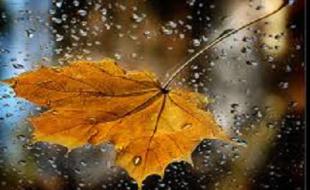 حمیل پربارش ترین شهر کشور/ هوا سردتر می شود