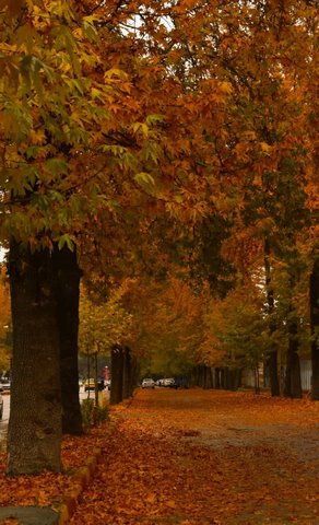 تصاویر منتشر شده از مناظر پاییزی شهرستان اسلام آبادغرب در شبکه های اجتماعی