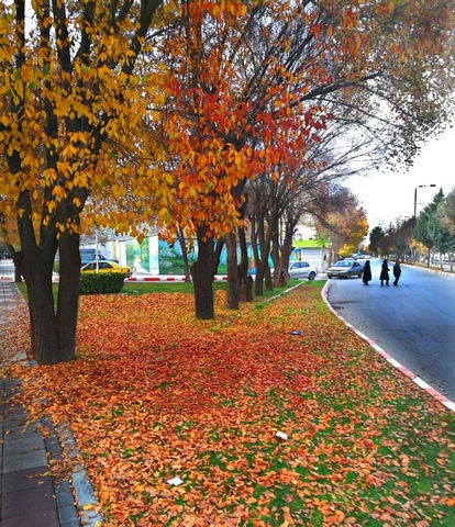 پاییز دل انگیز در شهرستان اسلام آبادغرب به روایت تصویر