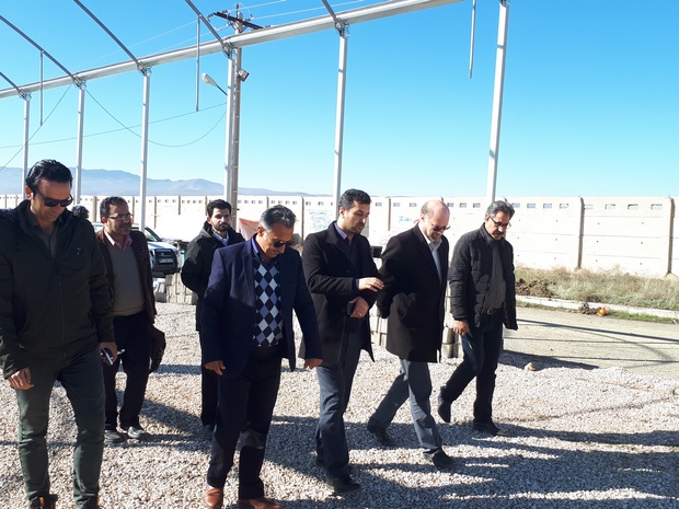  بازدید فرماندار و اصحاب رسانه از عملیات اجرایی گلخانه اسلام آبادغرب