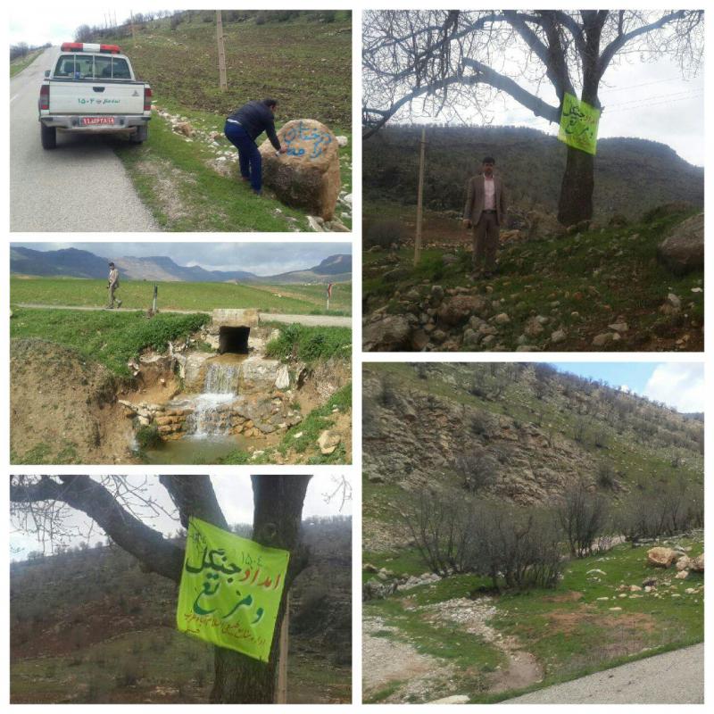 تقدیرازهمیاران منابع طبیعی شهرستان اسلام آبادغرب/مهمان طبیعت باشیم نه قاتل طبیعت!