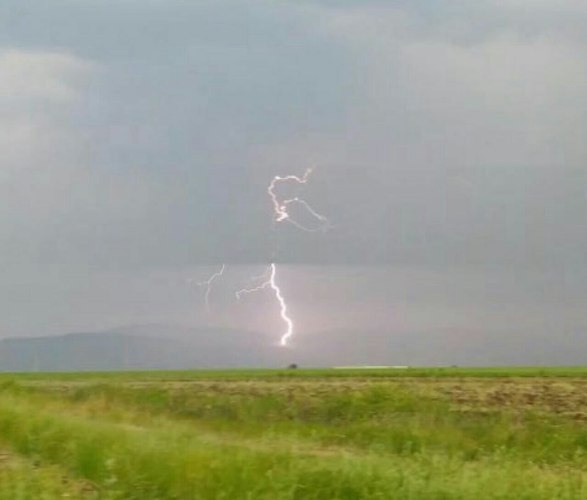 مصدومیت 3نفر و تلف شدن 9راس دام بر اثر اصابت رعد و برق در اسلام آبادغرب و گیلانغرب
