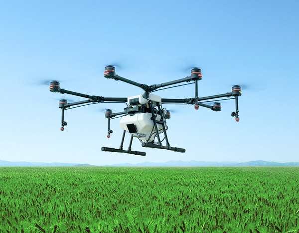 سم پاشی مزارع کلزا در شهرستان اسلام آباد غرب توسط پهپادهای سم پاش برای اولین بار سم پاشی مزارع کلزا در شهرستان اسلام آباد غرب توسط پهپادهای سم پاش برای اولین بار