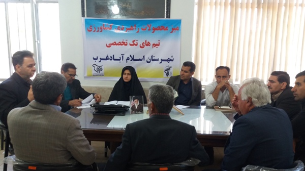 استفاده ازمشاوره های فنی مربیان بسیج مهندسین کشاورزی اسلام آبادغرب از دلایل موفقیت کشاورزان شهرستان