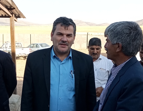 وزارتخانه دو برنامه کلان درخصوص تأمین گوشت قرمز کشور دارد/استان کرمانشاه قطب نژاد گوسفند سنجابی است وزارتخانه دو برنامه کلان درخصوص تأمین گوشت قرمز کشور دارد/استان کرمانشاه قطب نژاد گوسفند سنجابی است