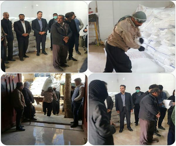 توزیع 12 هزار تن کود در بین کشاورزان اسلام آبادغرب/جذب 80 درصد سهمیه کود شهرستان 