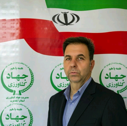 مبارزه با سن مادر در سطح ۲۱۶۰۰ هکتار از مزارع گندم و جو اسلام آبادغرب/مبارزه با علف‌های هرز  در سطح ۴۲۲۴۰ هکتار مزارع شهرستان