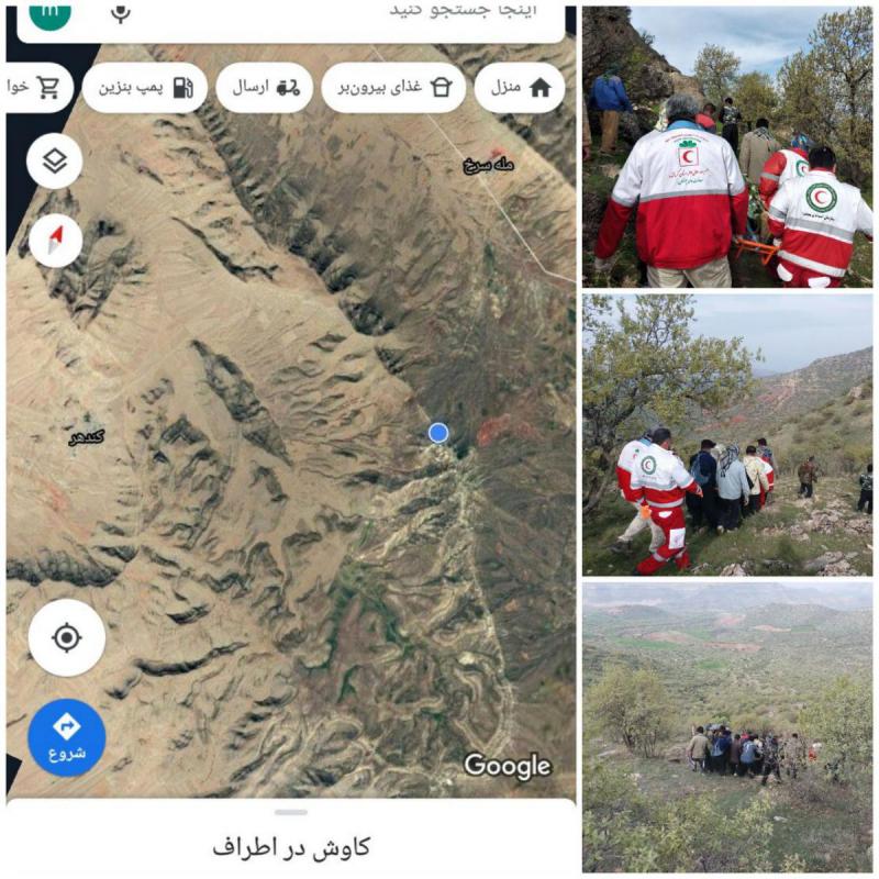 چیدن گیاهان خوراکی بهاری حادثه آفرید