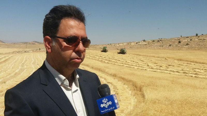 پیش‌بینی برداشت بیش از ۷۵ هزار تن گندم از مزارع اسلام آبادغرب/فعالیت ۱۷۰ دستگاه کمباین در شهرستان 