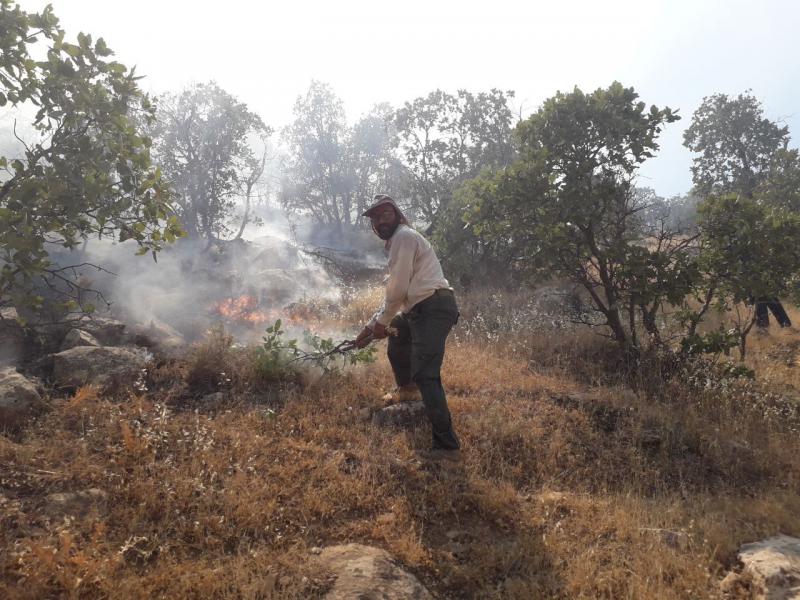 مهار آتش سوزی جنگل و مراتع روستای ارکوازی