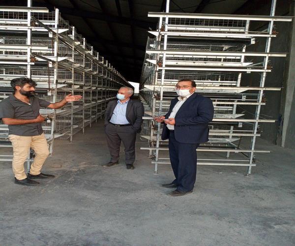 حمایت دولت در اجرای طرح های راکد در اسلام آبادغرب حمایت دولت در اجرای طرح های راکد در اسلام آبادغرب