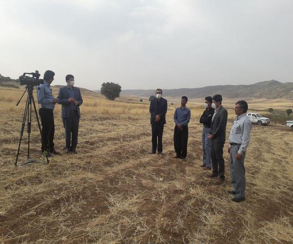 رفع تصرف ۱٨هکتارازاراضی ملی در اسلام آبادغرب