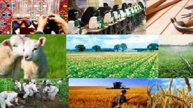 پرداخت ۳میلیارد و ۶۷۵میلیون تومان تسهیلات خوداشتغالی در اسلام آبادغرب