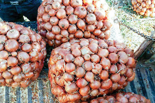 پیش بینی برداشت 17 هزار تن پیاز در اسلام آبادغرب