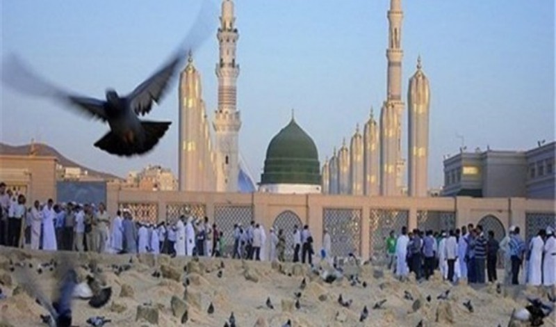 وحدت و محبت اهل بیت(ع) رمز پیروزی مسلمین بر استکبار جهانی/ علمای شیعه و اهل سنت باید بر اشتراکات تاکید کنند