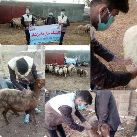 اعزام کلینیک سیار دامپزشکی بسیج مهندسین کشاورزی اسلام آبادغرب به روستاهای شهرستان اعزام کلینیک سیار دامپزشکی بسیج مهندسین کشاورزی اسلام آبادغرب به روستاهای شهرستان