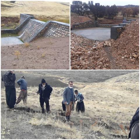 مشارکت خوب مردم در حفاظت و مراقبت از ۱۴۰هزار هکتار اراضی ملی اسلام آبادغرب