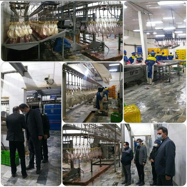 تداوم نظارت بر توزیع مرغ در راستای مصوبات ستاد تنظیم بازار 