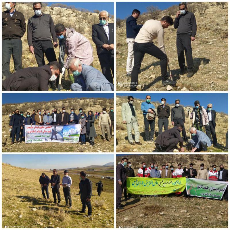 غرس ۵۰۰ اصله نهال در راستای تقدیر از مدافعان سلامت دراسلام آبادغرب+تصاویر