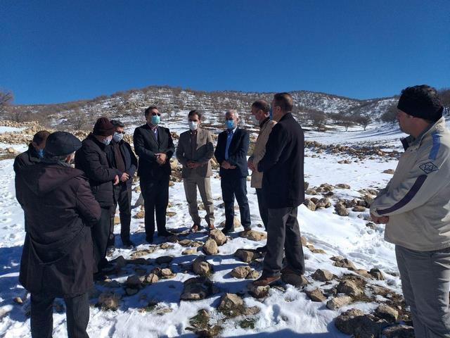 مهاجرت معکوس به روستاها در حقیقت بازگشت به فعالیت های تولیدی است مهاجرت معکوس به روستاها در حقیقت بازگشت به فعالیت های تولیدی است