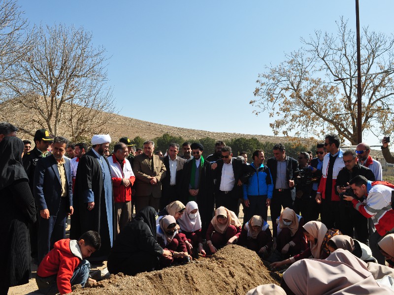 پویش کاشت 100 هزار درخت در اسلام‌آبادغرب برگزار شد+تصاویر