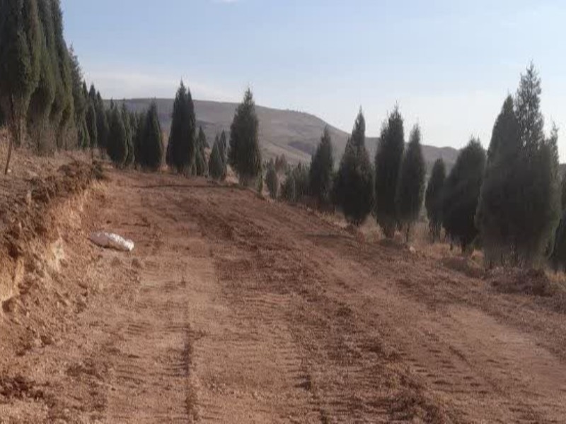 زمین‌خواری در شرکت کاشی کاژه رخ نداده است