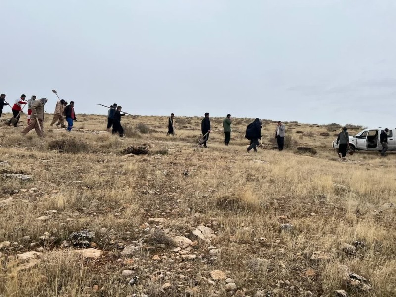 کاشت ۱۰۰۰ نهال بلوط به یاد شهدای اسلامآبادغرب کاشت ۱۰۰۰ نهال بلوط به یاد شهدای اسلامآبادغرب
