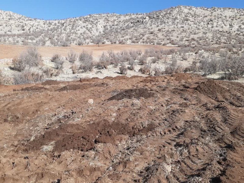 خلع ید عملی ۴ هزار متر از اراضی ملی تصرف‌شده در اسلام‌آبادغرب