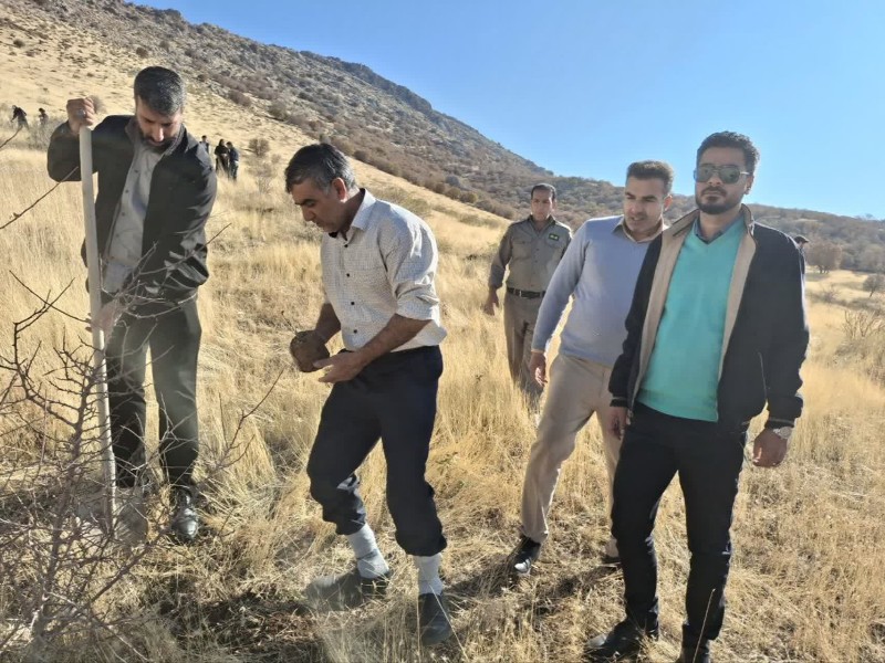 کاشت ۱۲۸۳ نهال بلوط در اسلام آبادغر