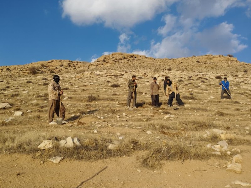 آغاز پروژه کپه‌کاری در ۱۰۰ هکتار از مراتع پلنگرد با مشارکت بهره‌برداران محلی