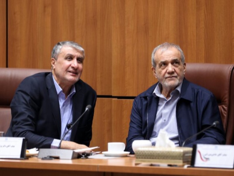 دولت با تمام توان از توسعه صنعت هسته‌ای صلح‌آمیز کشور حمایت می‌کند